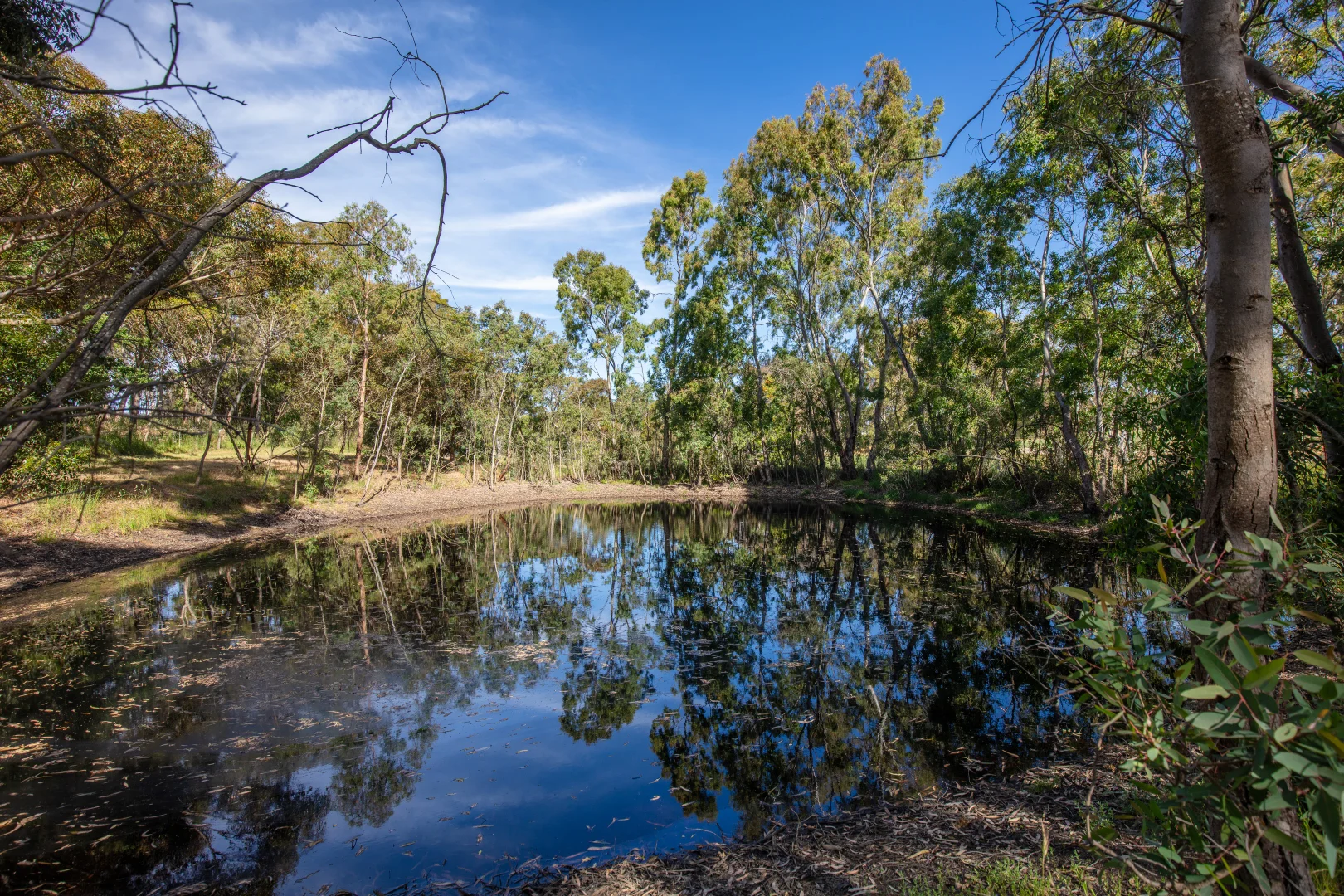 Additional image 31 of 124 Nitschke Road, Littlehampton SA 5250