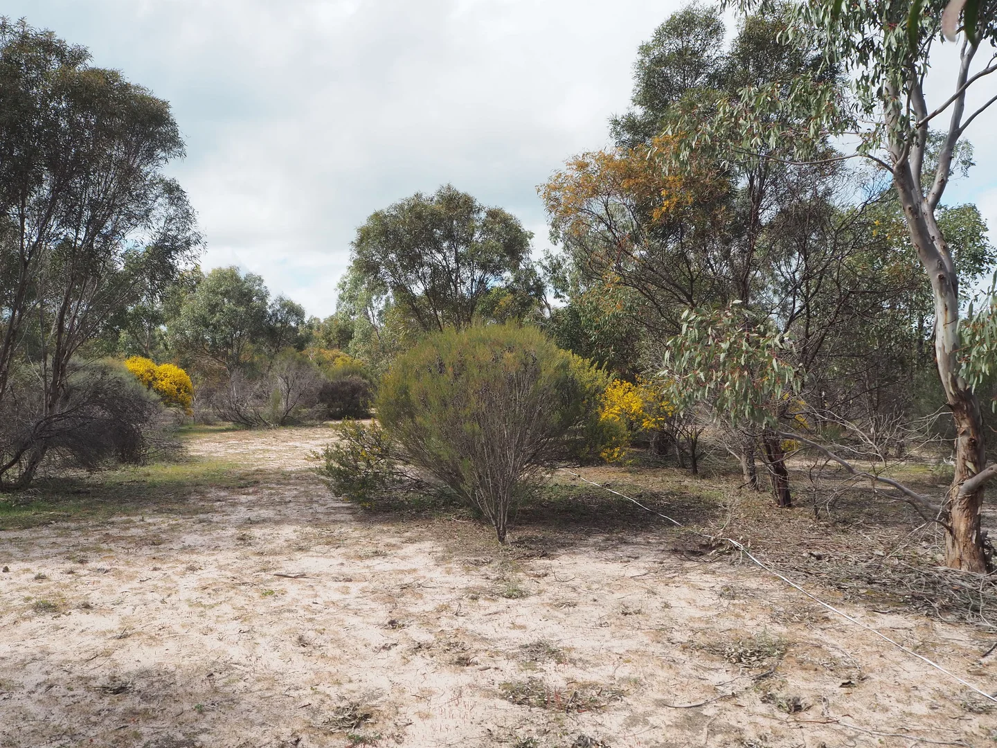 Additional image 2 of lot 2 Mitre Road, Nurcoung VIC 3401