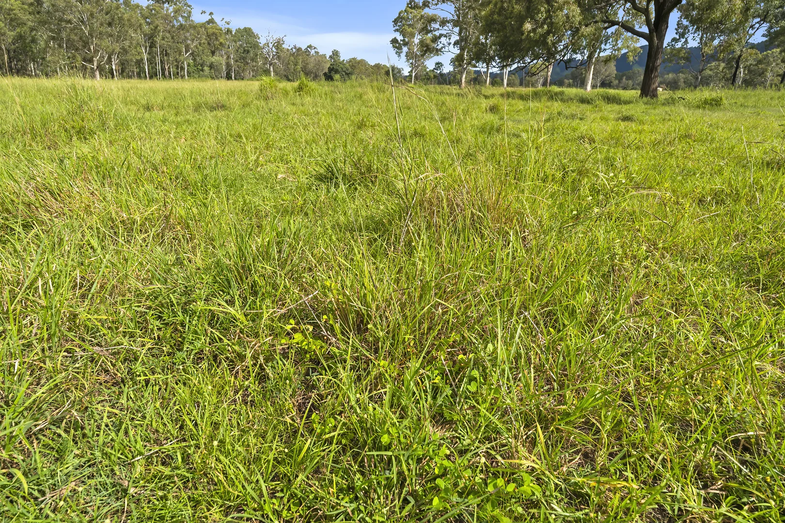 Additional image 10 of Lot 172 Gympie-Woolooga Road, Lower Wonga QLD 4570
