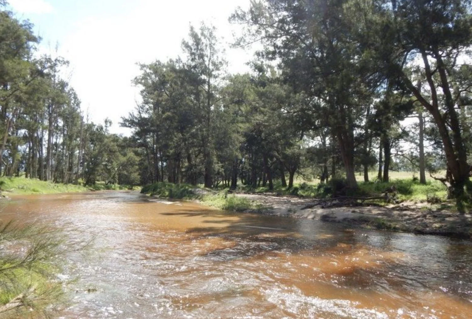 Additional image 13 of 874 Cobargo Bermagui Road, Coolagolite NSW 2550