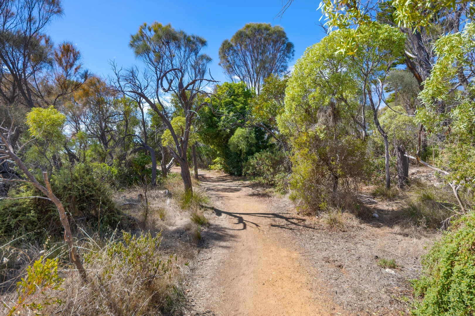 Additional image 30 of 289 Esplanade, Coffin Bay SA 5607