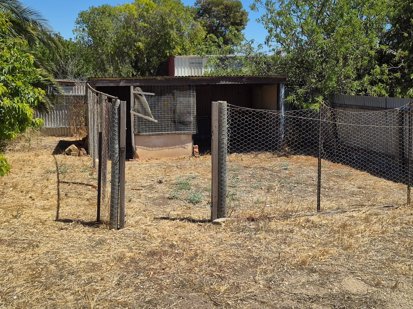 Additional image 7 of 14 Ynoo Avenue, Maitland SA 5573