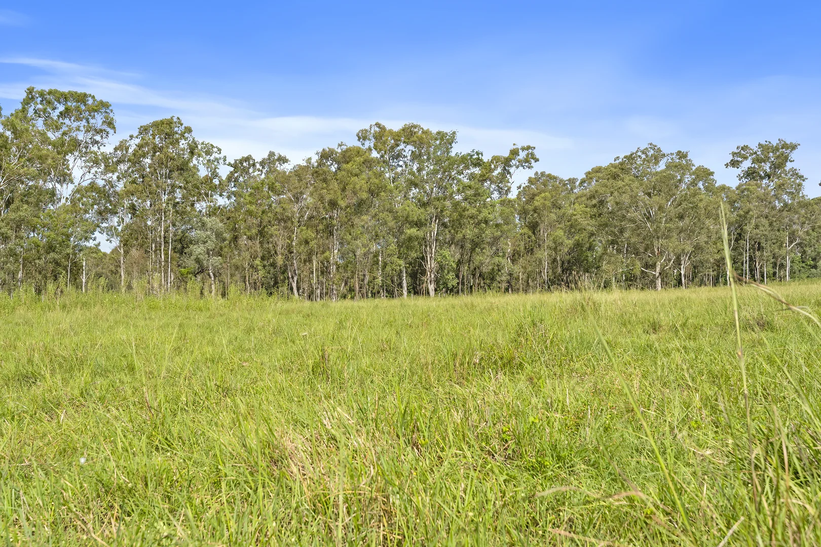 Additional image 11 of Lot 172 Gympie-Woolooga Road, Lower Wonga QLD 4570