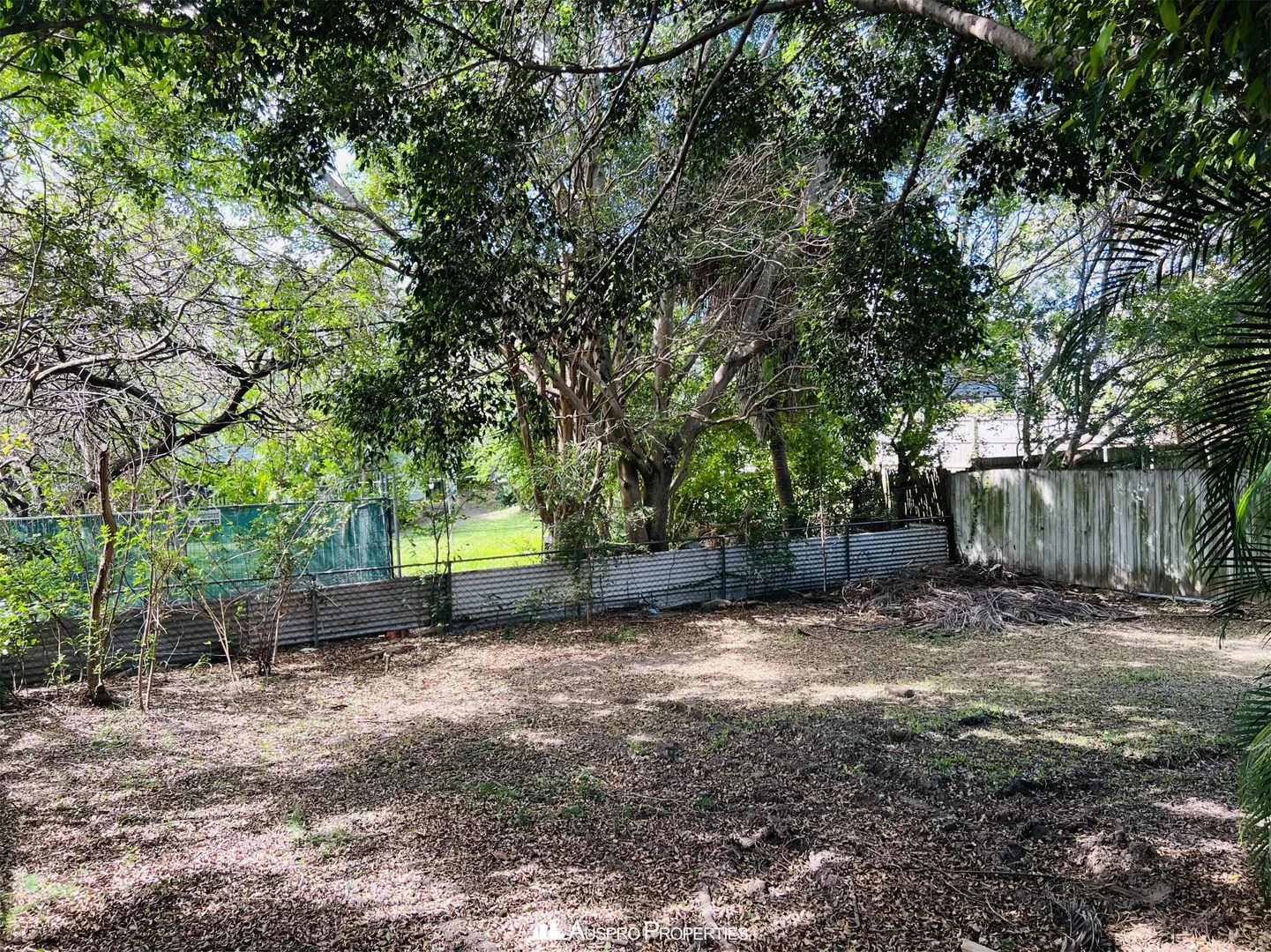Additional image 13 of 170 Macrossan Avenue, Norman Park QLD 4170