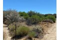 Additional image 8 of 63151 Table Mtn, Anza, CA, 92539
