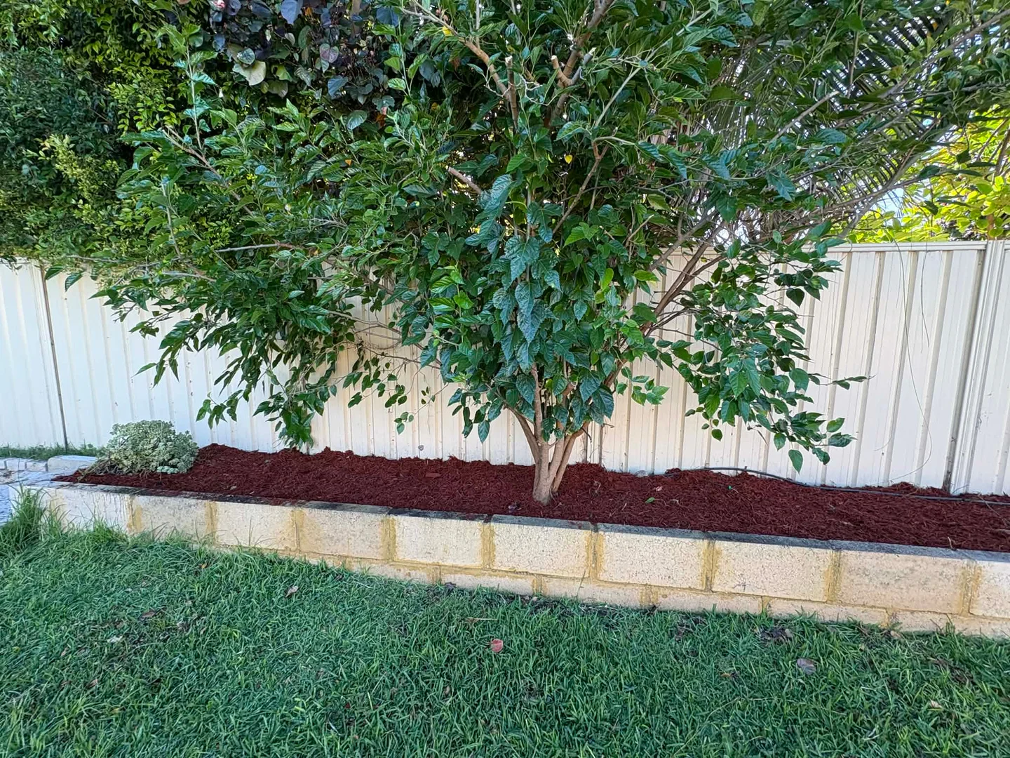 Additional image 36 of 20 Aldinga Pl, Waikiki WA 6169