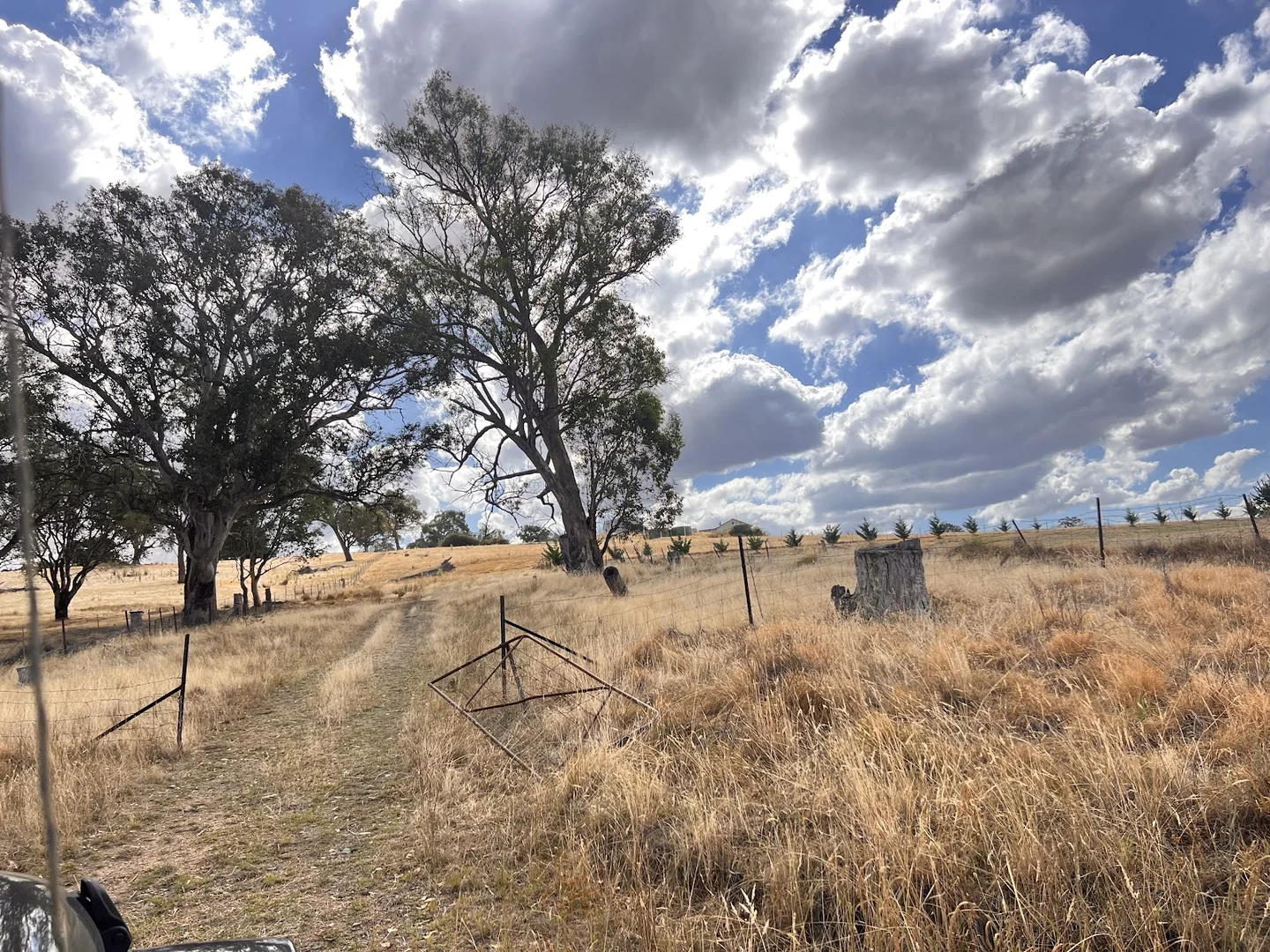 Additional image 12 of Lot 241 Hearn Street, Bigga NSW 2583