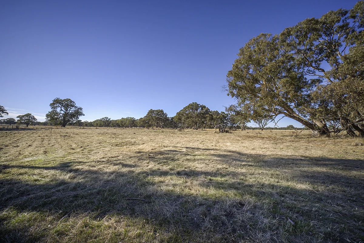 Additional image 7 of Bellicourt Road, Dunkeld VIC 3294