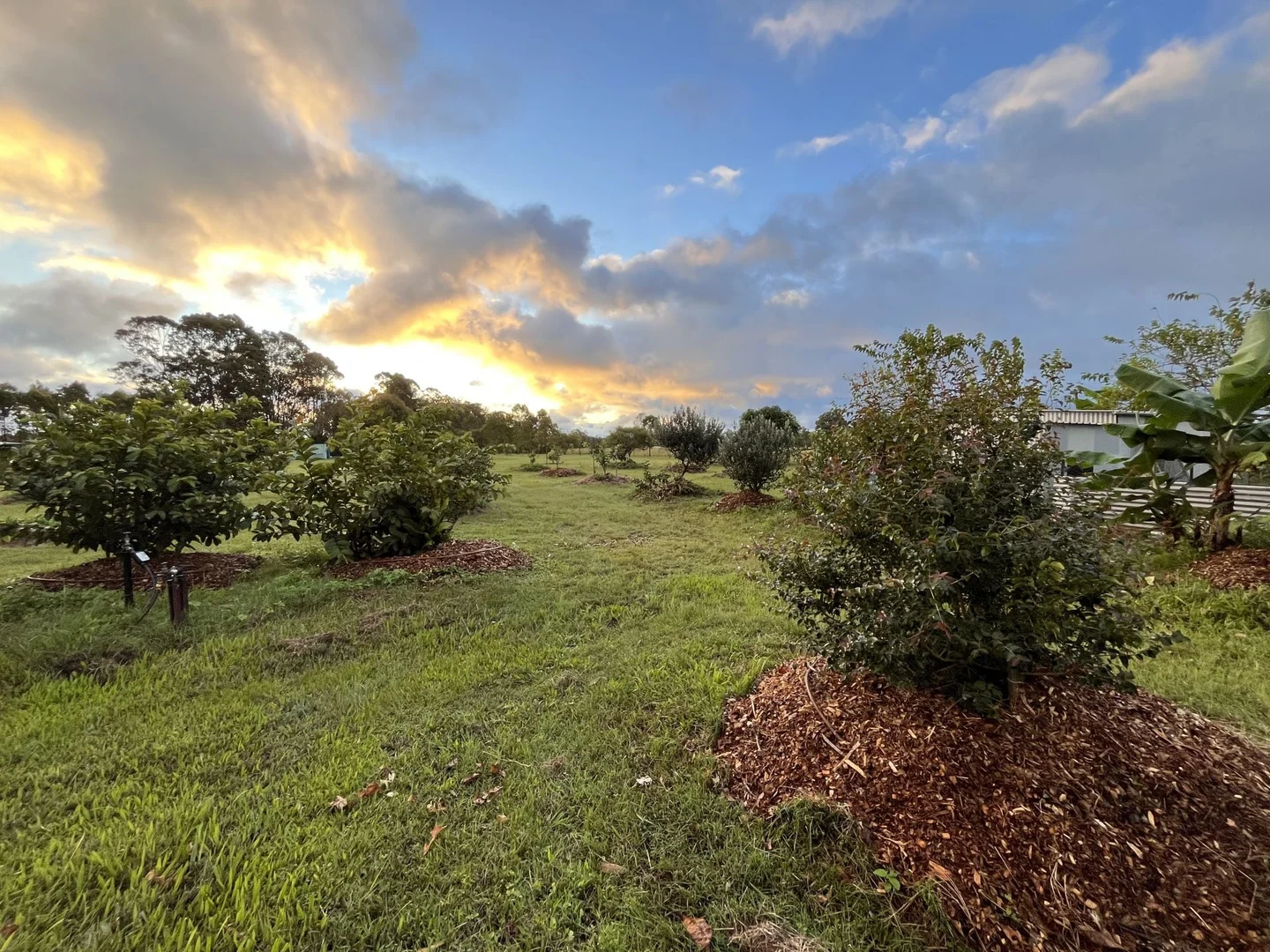 Additional image 24 of 84 Gordon Earl Drive, Millstream QLD 4888