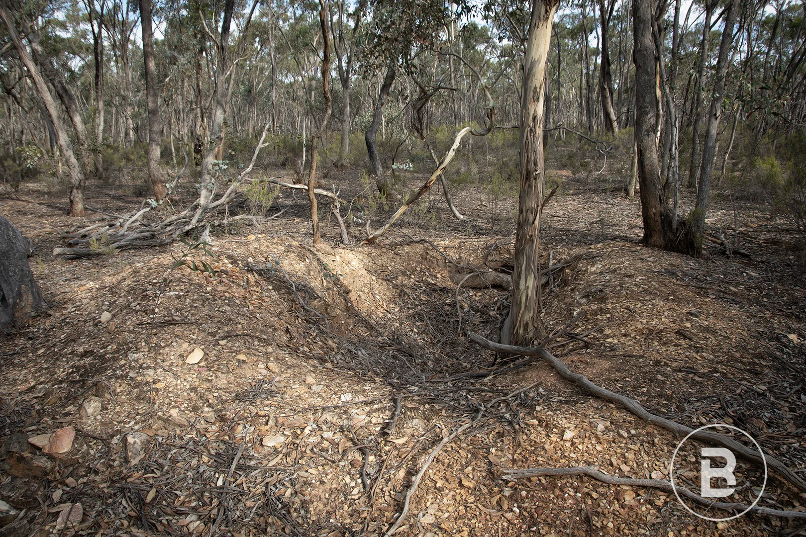 Additional image 4 of CA4 SEC 6 Maryborough Dunolly Road, Havelock VIC 3465