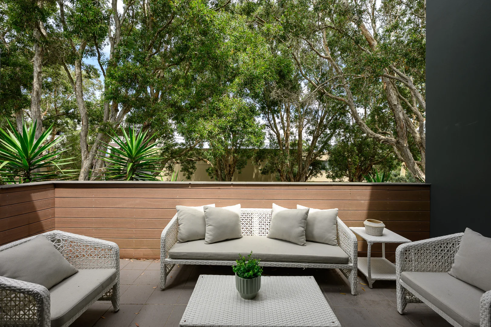 Additional image 3 of 12 Ivy Street, Botany NSW 2019