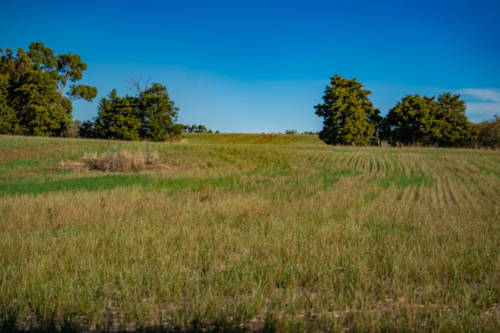 Additional image 7 of 180 Sharpes Road, Miners Rest VIC 3352