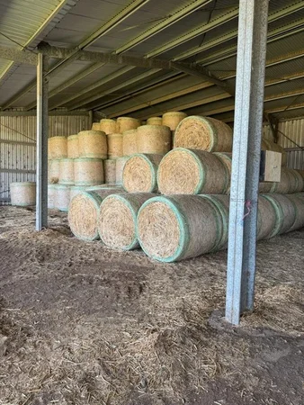 Additional image 28 of 2330 Dalby Cooyar Road, Kaimkillenbun QLD 4406