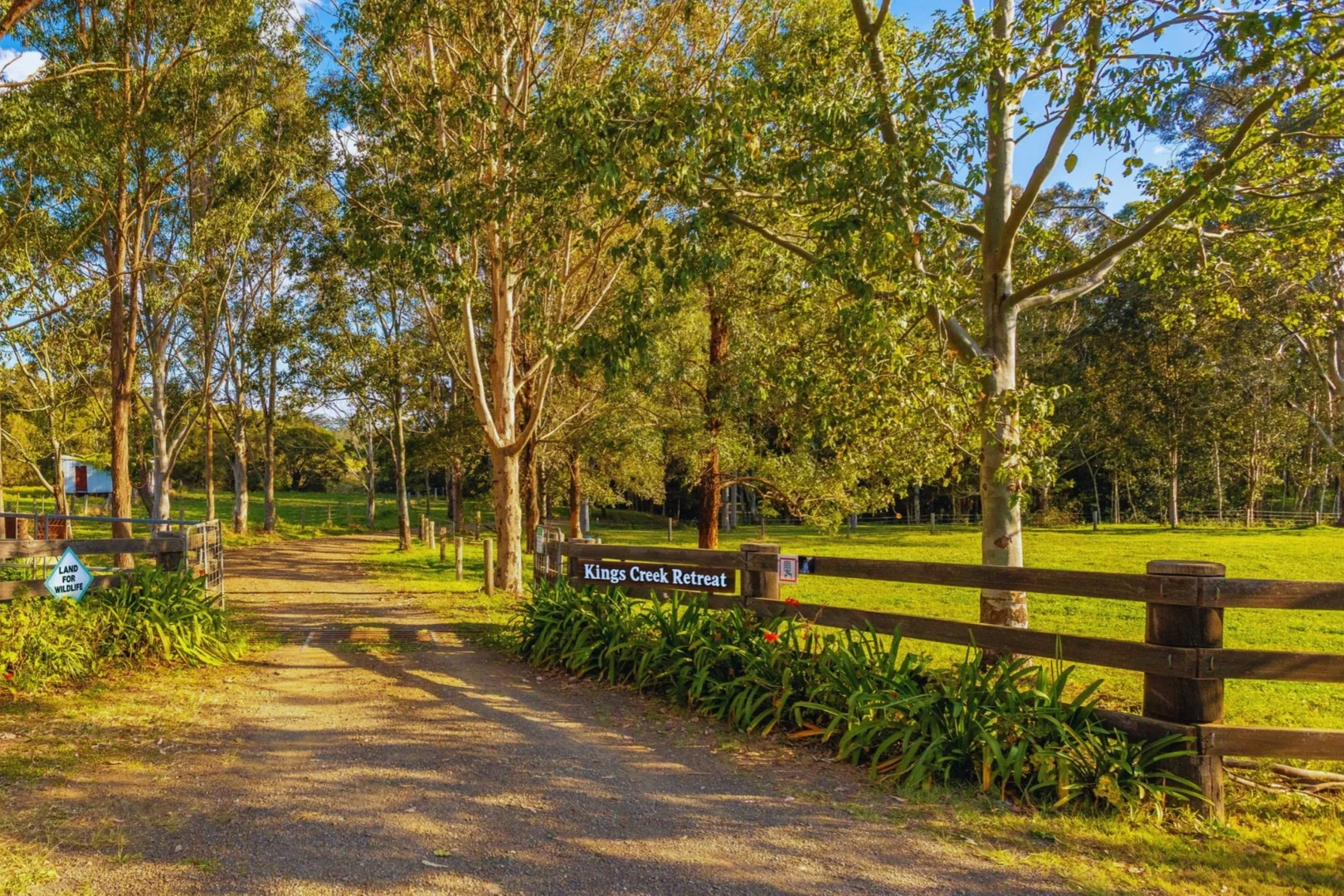 Additional image 25 of 84 Kings Creek Road, Krambach NSW 2429