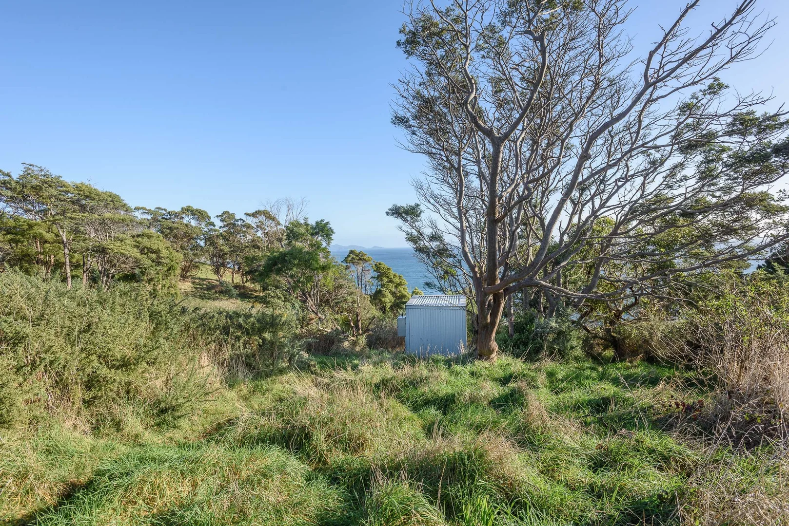 Additional image 24 of 472 Tollymore Road, Table Cape TAS 7325