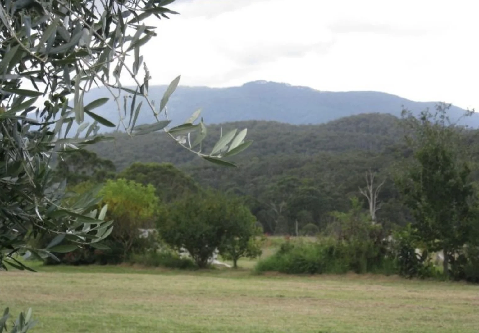 Additional image 19 of 874 Cobargo Bermagui Road, Coolagolite NSW 2550