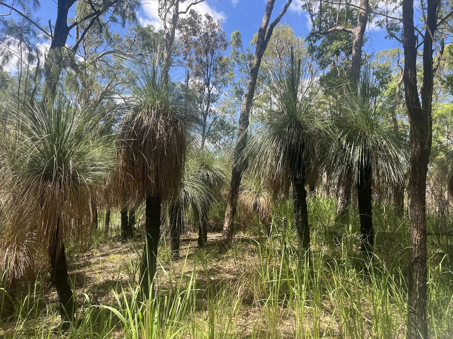 Additional image 3 of 8454 Cunningham Highway, Tarome QLD 4309