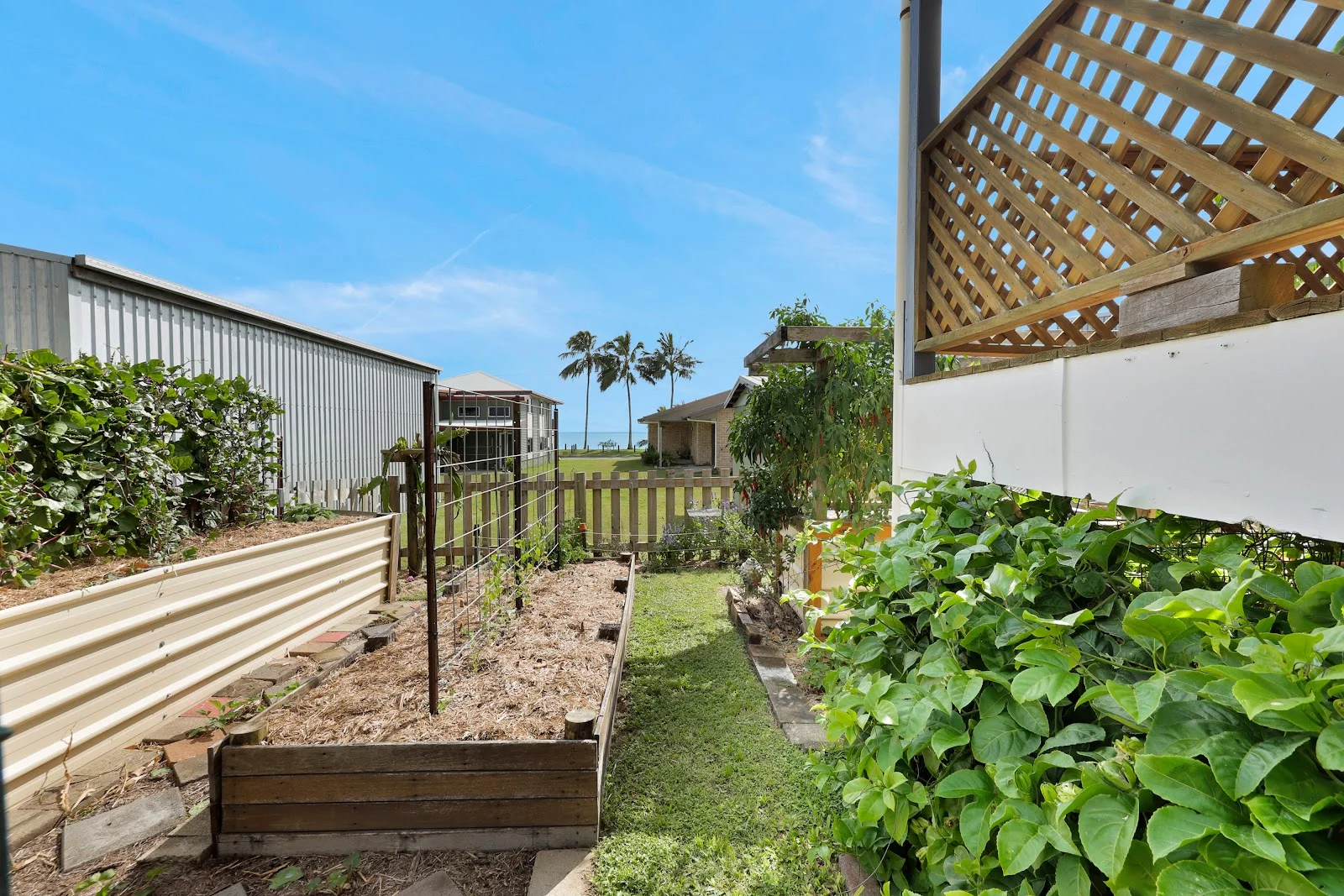Additional image 15 of 7 Evans Avenue, Seaforth QLD 4741