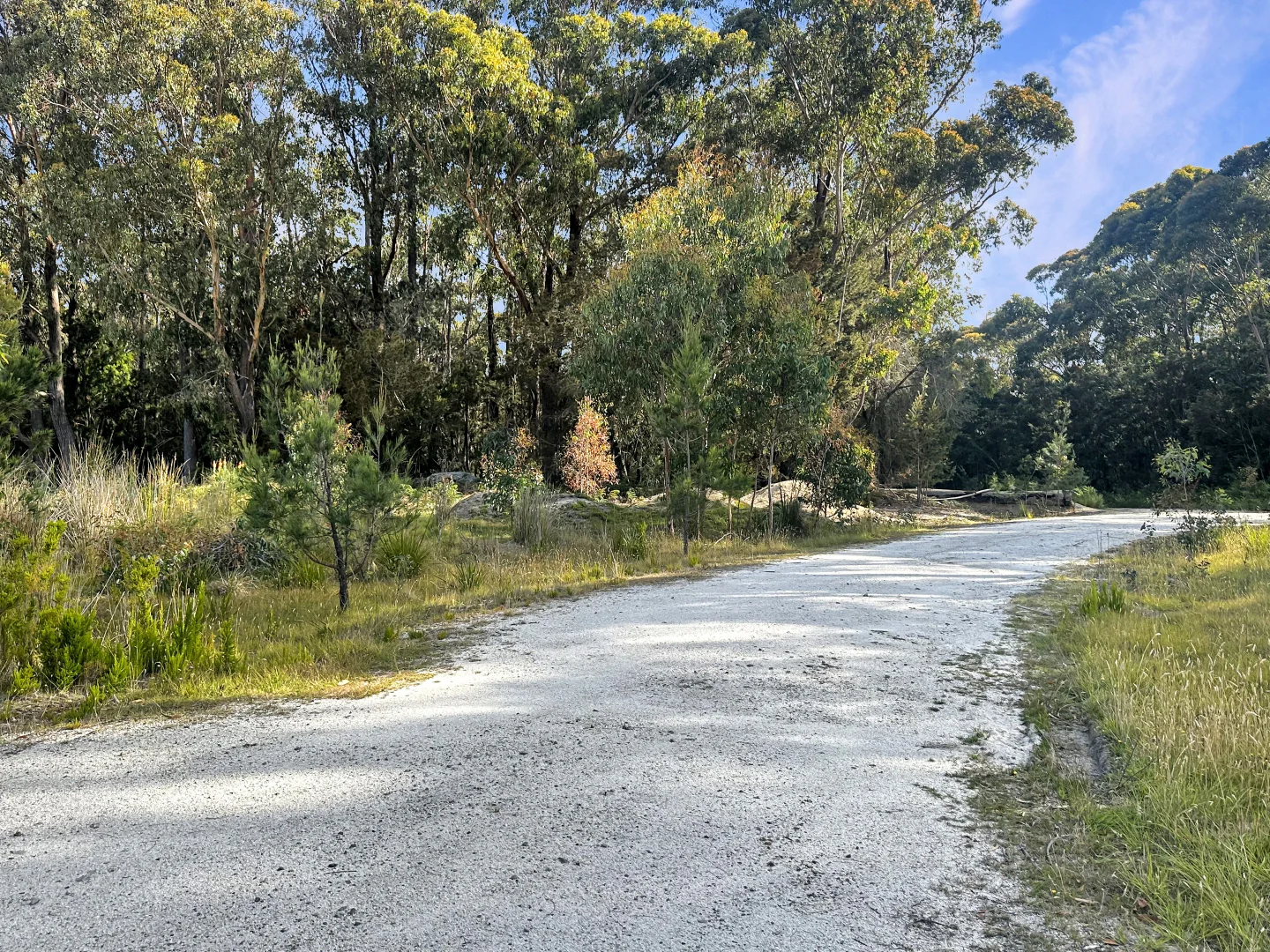 Additional image 8 of 25851 Tasman Highway, St Helens TAS 7216