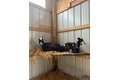 Additional image 54 of 4239 Seven Hills Rd, Odin, IL, 62870