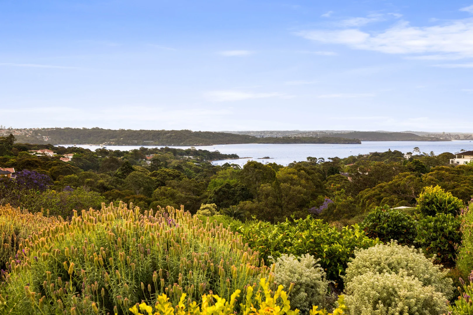 Additional image 3 of 16 Hopetoun Avenue, Vaucluse NSW 2030