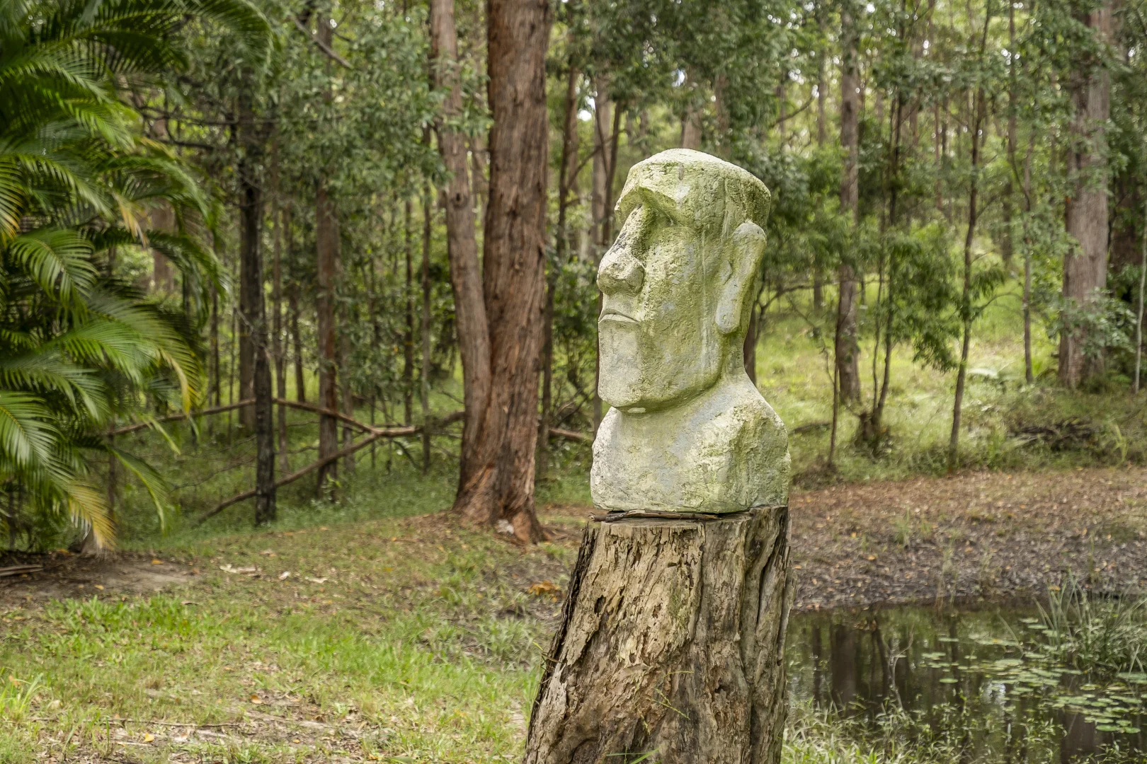 Additional image 23 of 398 Tablelands Road, Cooran QLD 4569