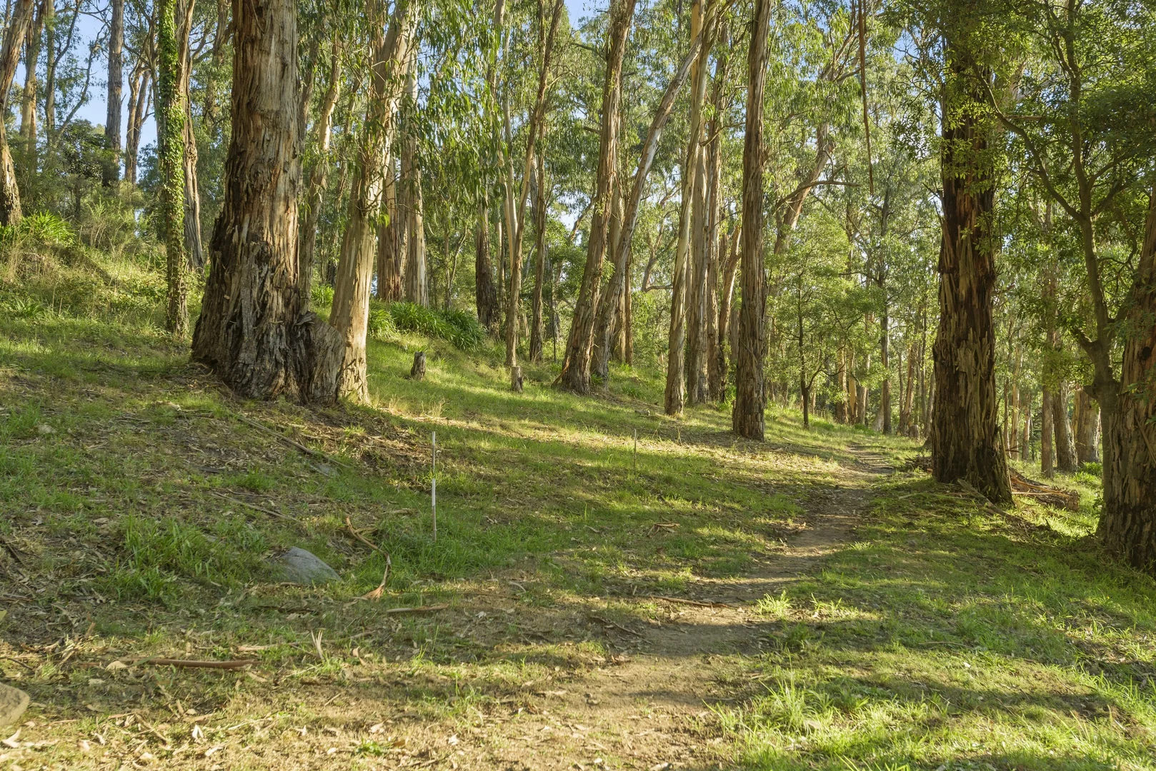 Additional image 16 of 1 Johns Road, Selby VIC 3159
