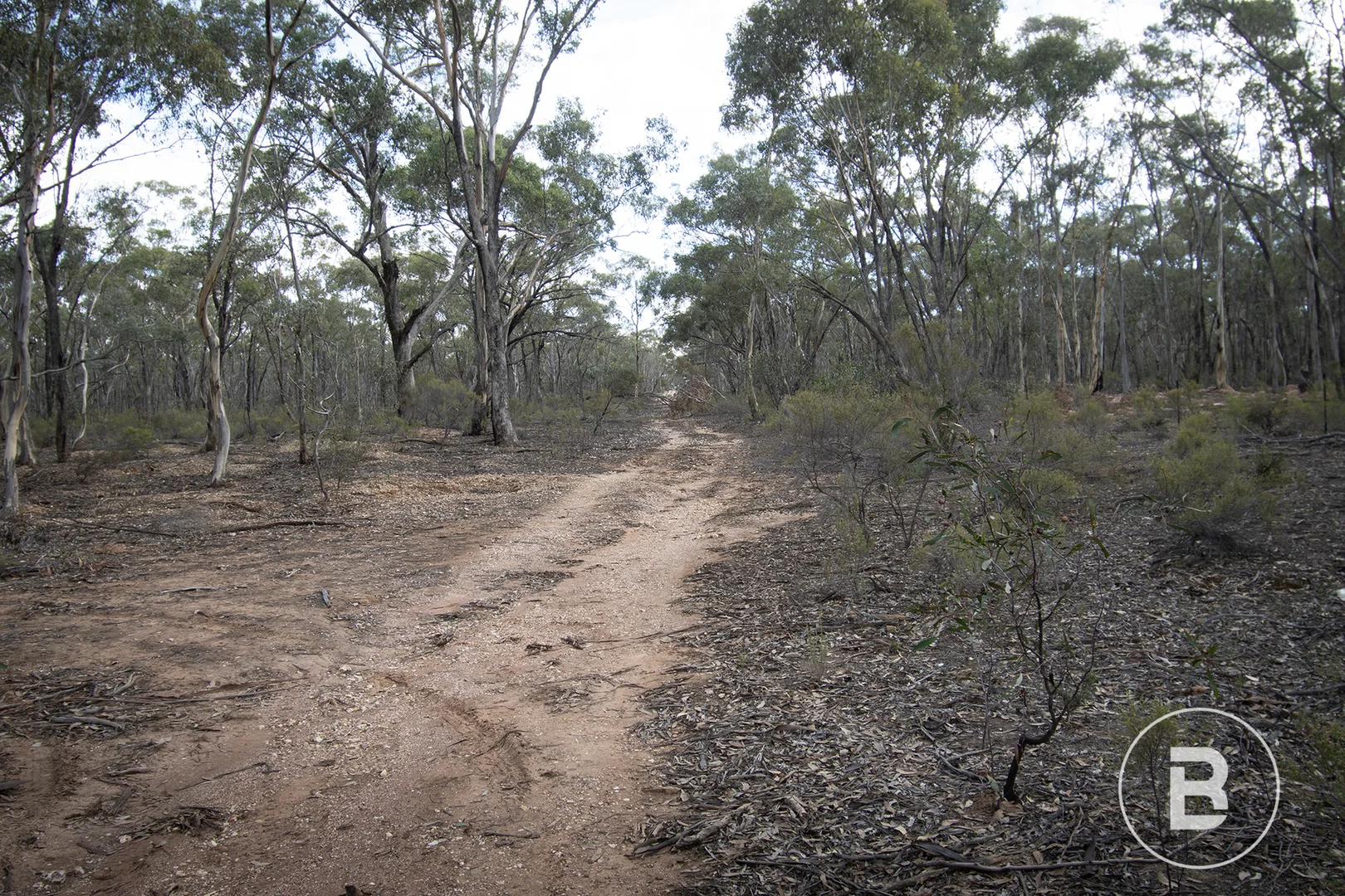 Additional image 9 of CA4 SEC 6 Maryborough Dunolly Road, Havelock VIC 3465
