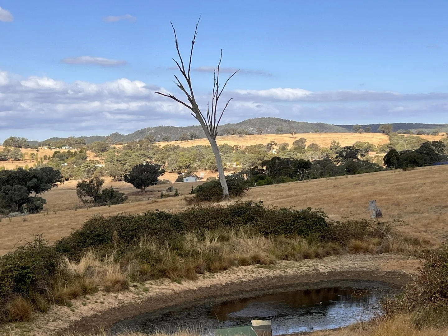 Additional image 3 of Lot 241 Hearn Street, Bigga NSW 2583
