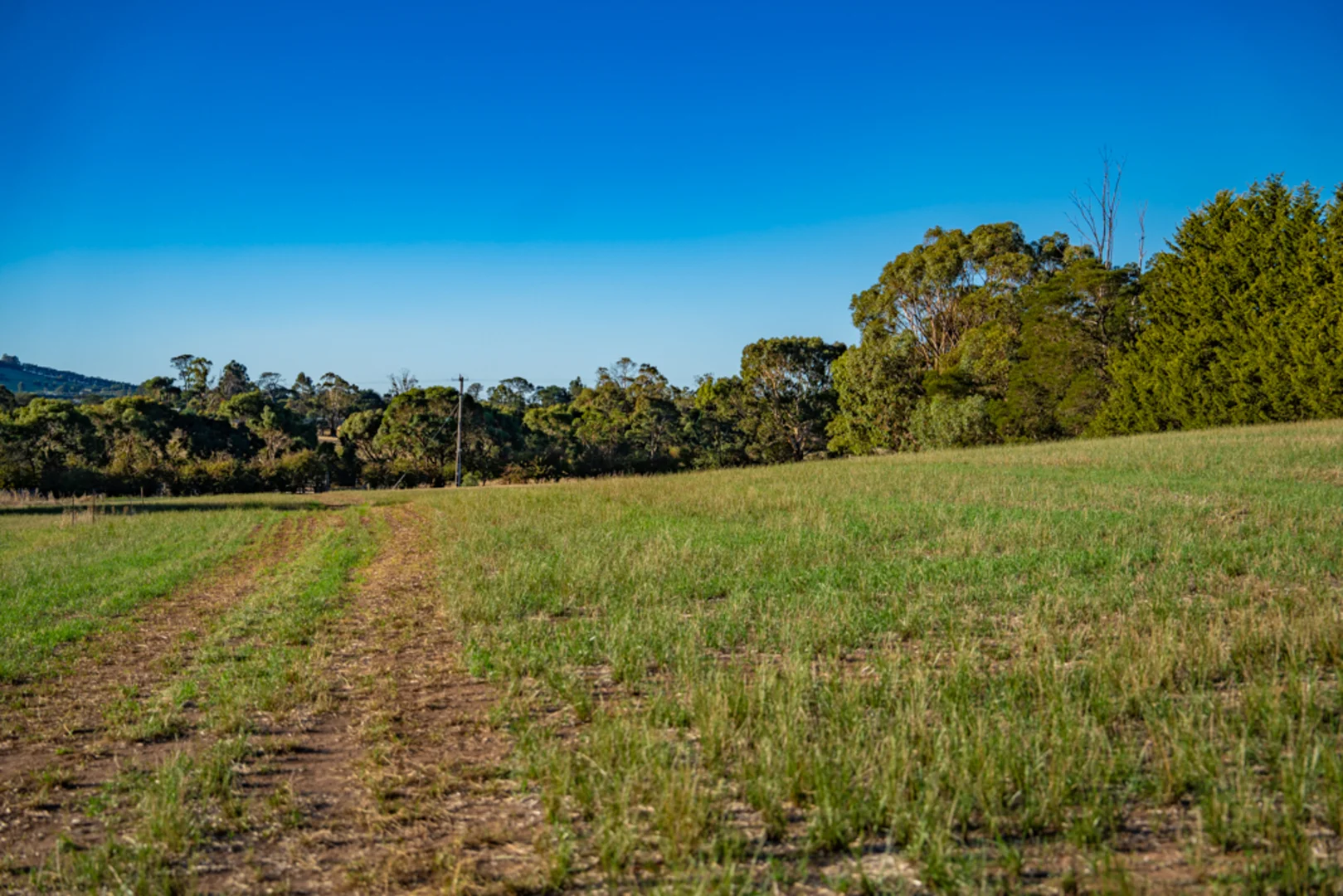 Additional image 21 of 180 Sharpes Road, Miners Rest VIC 3352