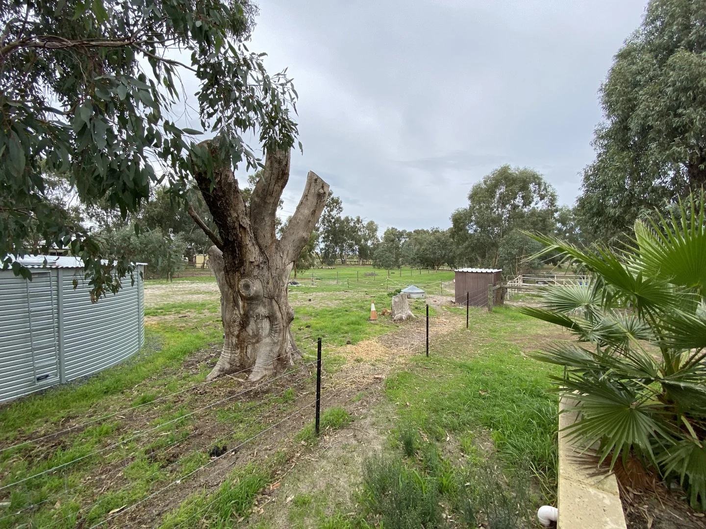 16 Hanlin Road, Forrestdale WA 6112
