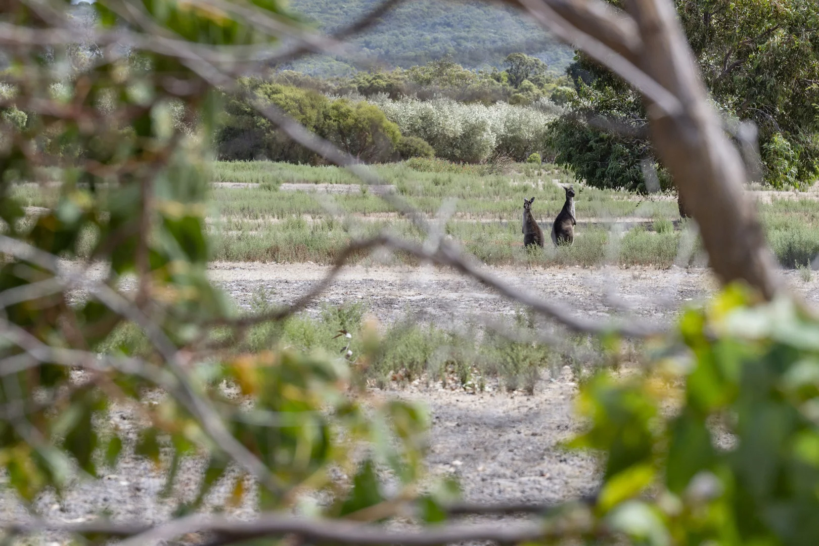 Additional image 22 of 114 Sonning Loop, Yallingup WA 6282