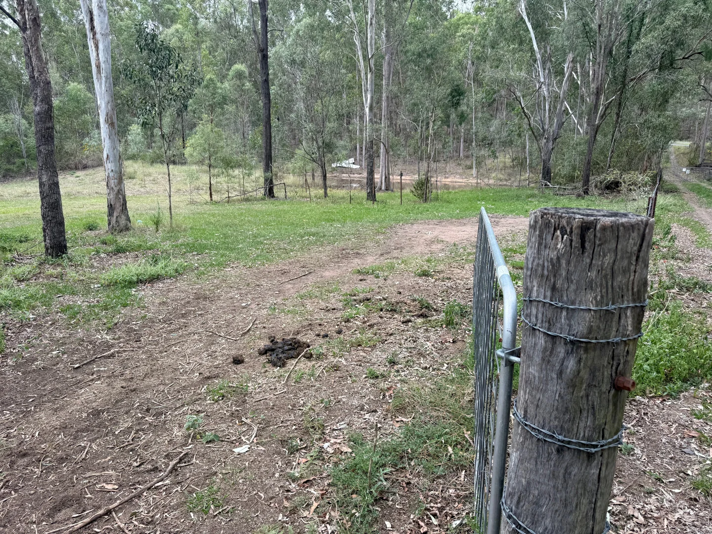 Additional image 19 of 22 Cramer Avenue, Laidley South QLD 4341