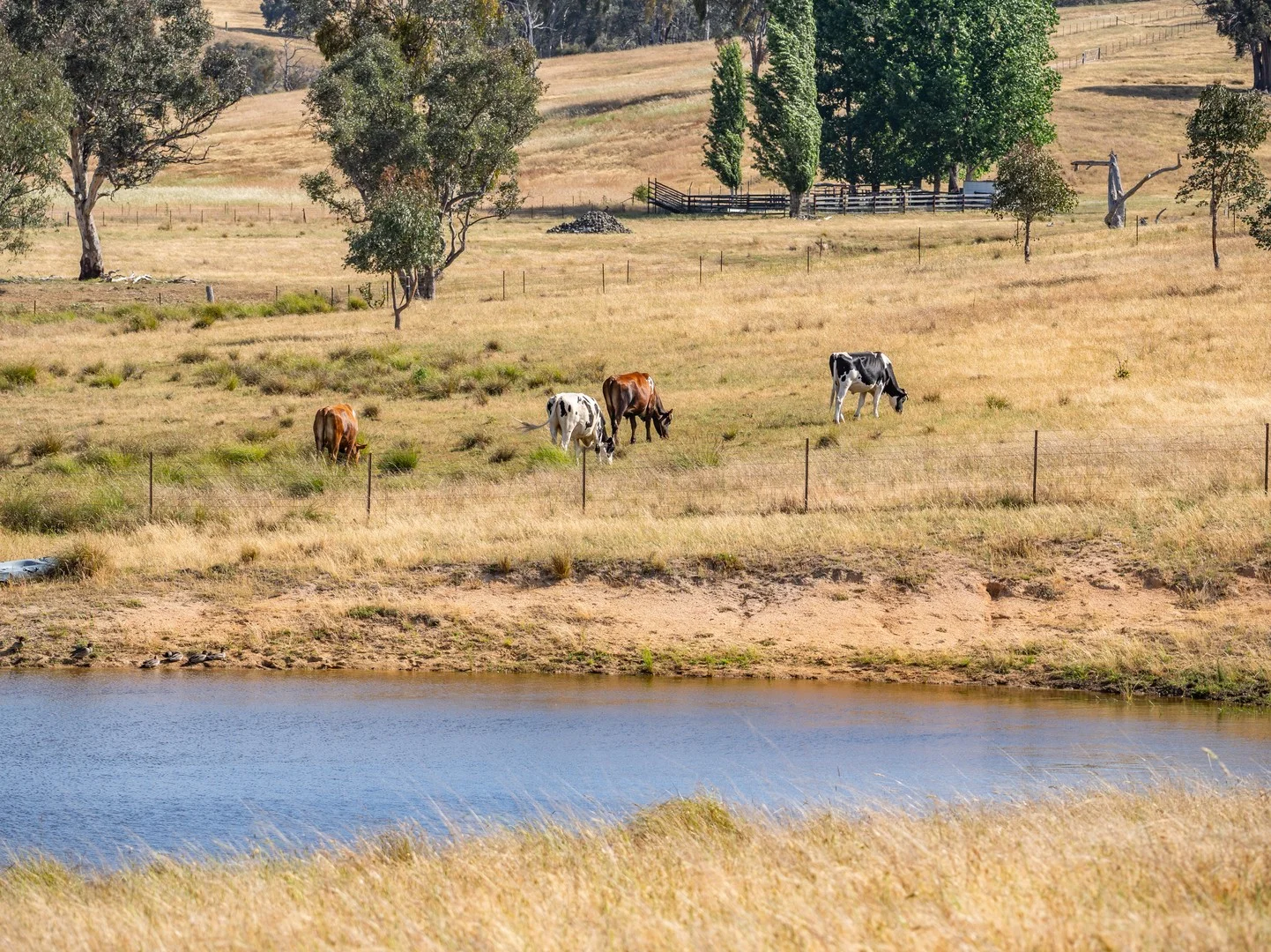 Additional image 4 of 3705 Frogmore Road, Hovells Creek NSW 2794