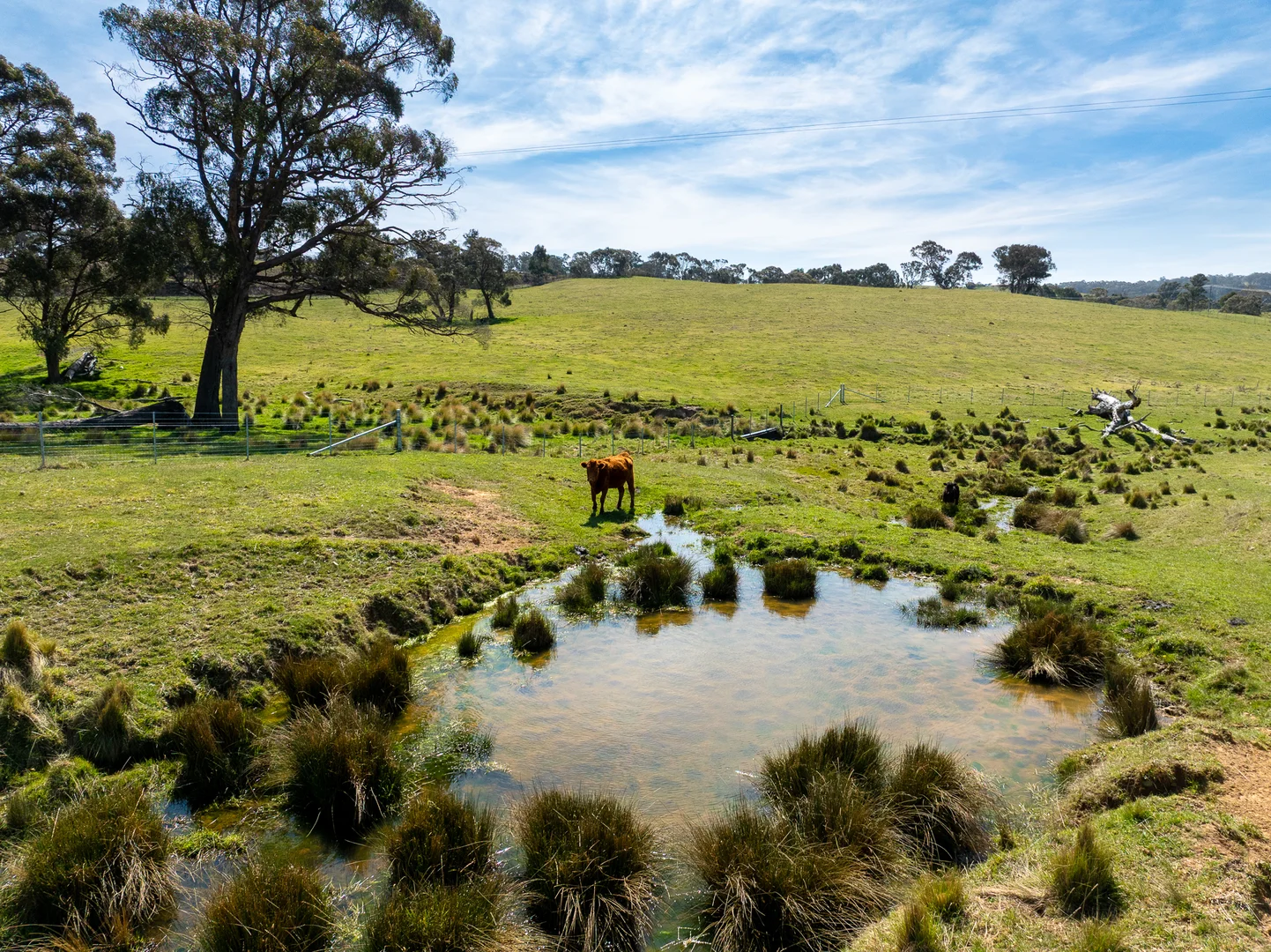 Additional image 3 of Lot 1, 1660 Edith Road, Oberon NSW 2787