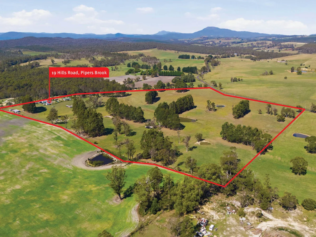 Additional image 5 of 19 Hills Road, Pipers Brook TAS 7254