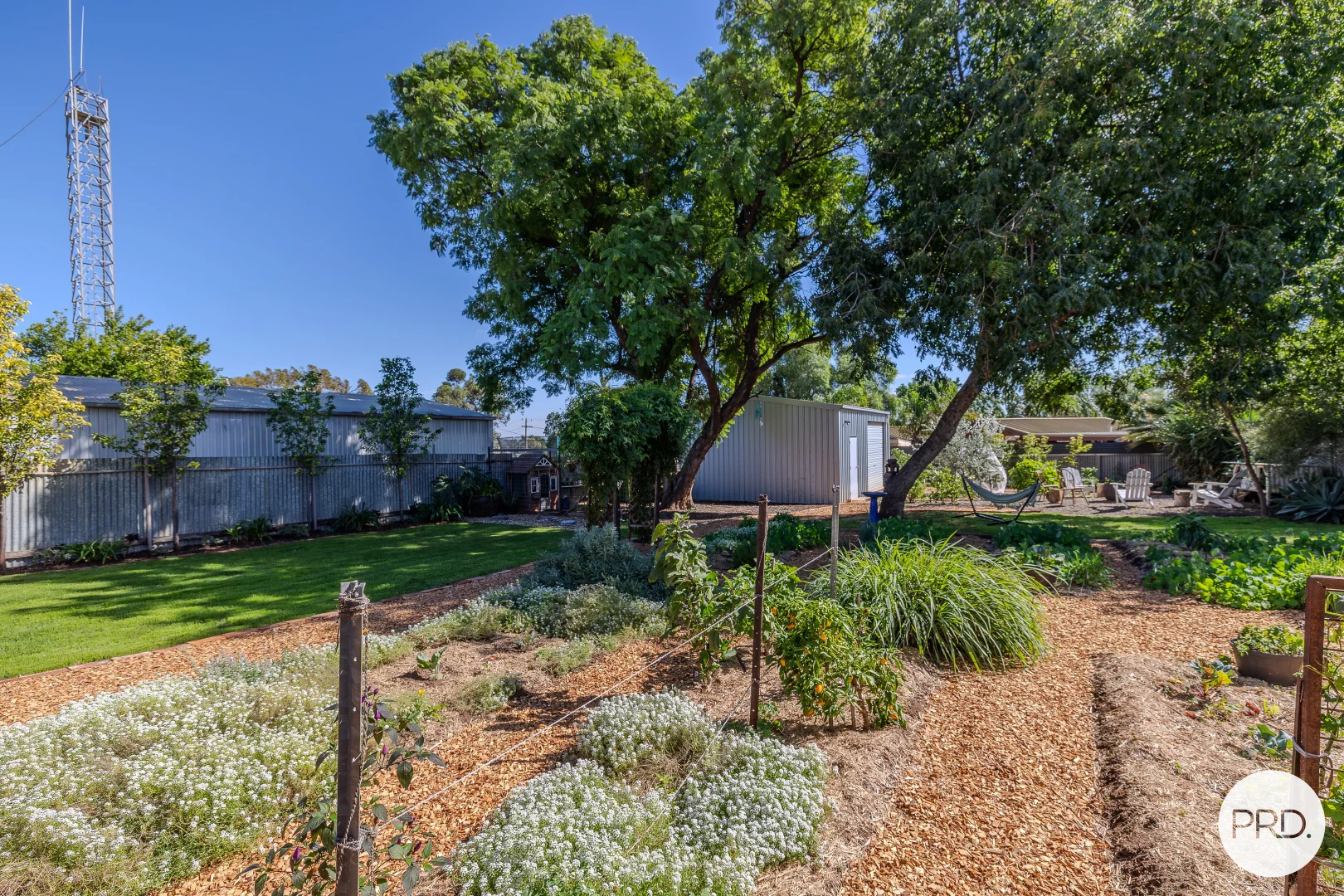 Additional image 24 of 45 Box Street, Merbein VIC 3505