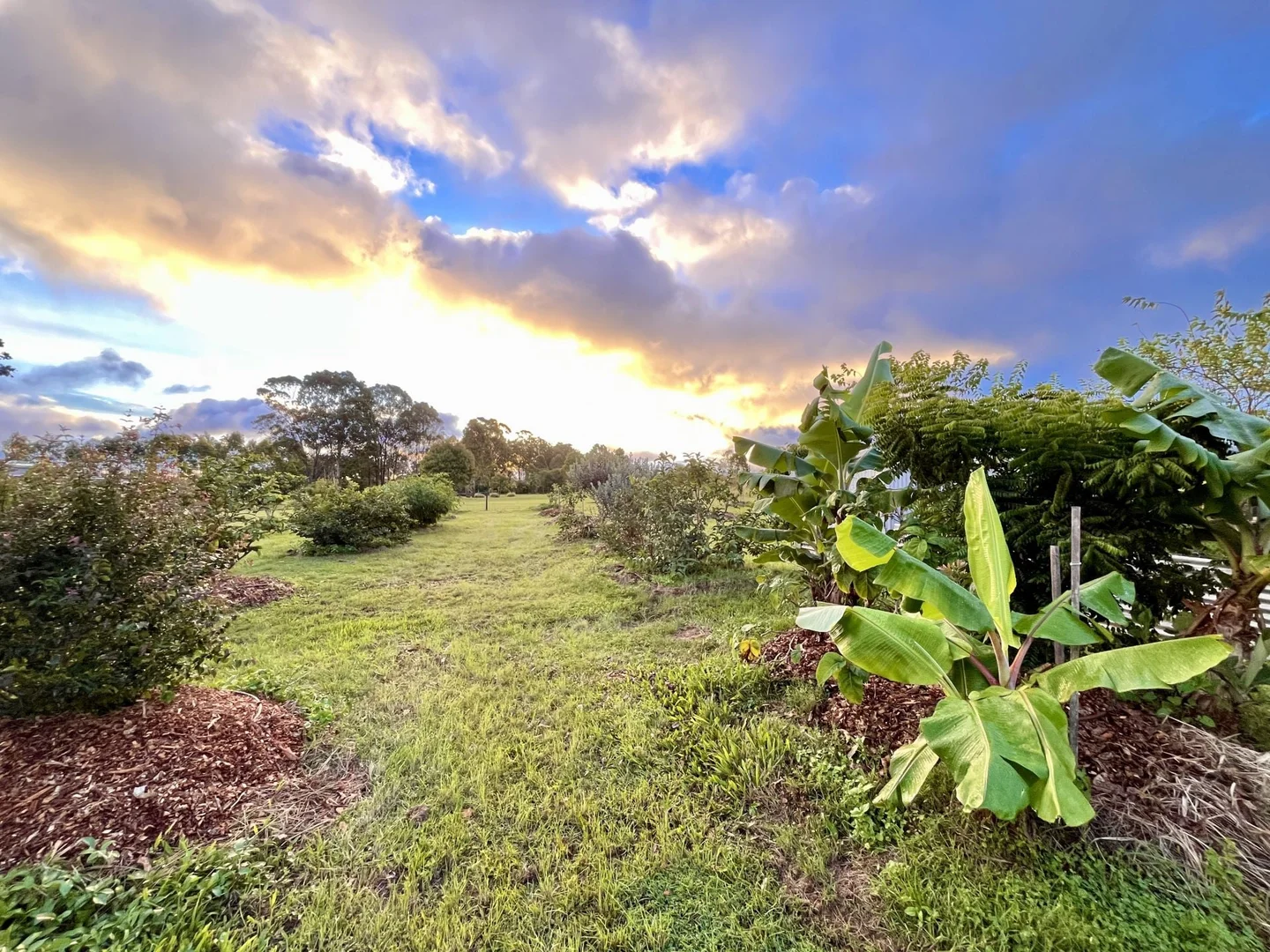Additional image 23 of 84 Gordon Earl Drive, Millstream QLD 4888