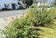Additional image 23 of Cuddra Road, St Austell