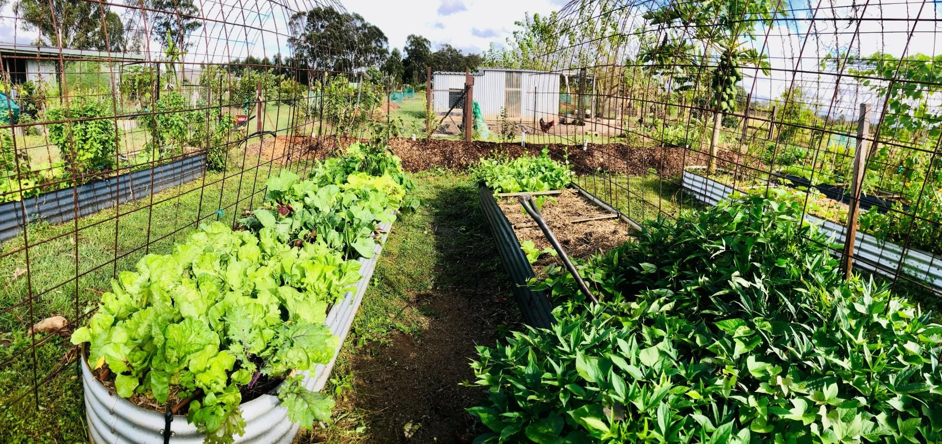 Additional image 32 of 84 Gordon Earl Drive, Millstream QLD 4888