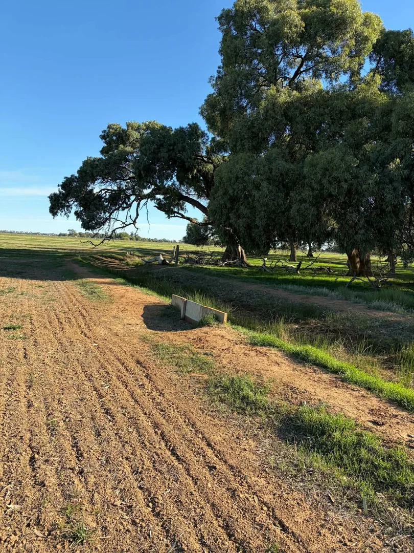 Additional image 28 of 78 Nicholson Lane, Kotta VIC 3565