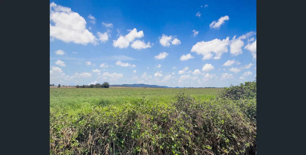 Additional image 17 of 16 Irvine Street, Kairi QLD 4872