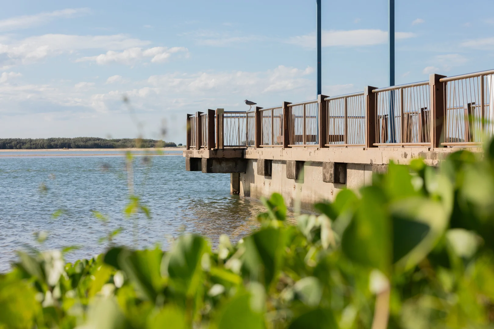 Additional image 17 of 2/222 Main Road, Maroochydore QLD 4558