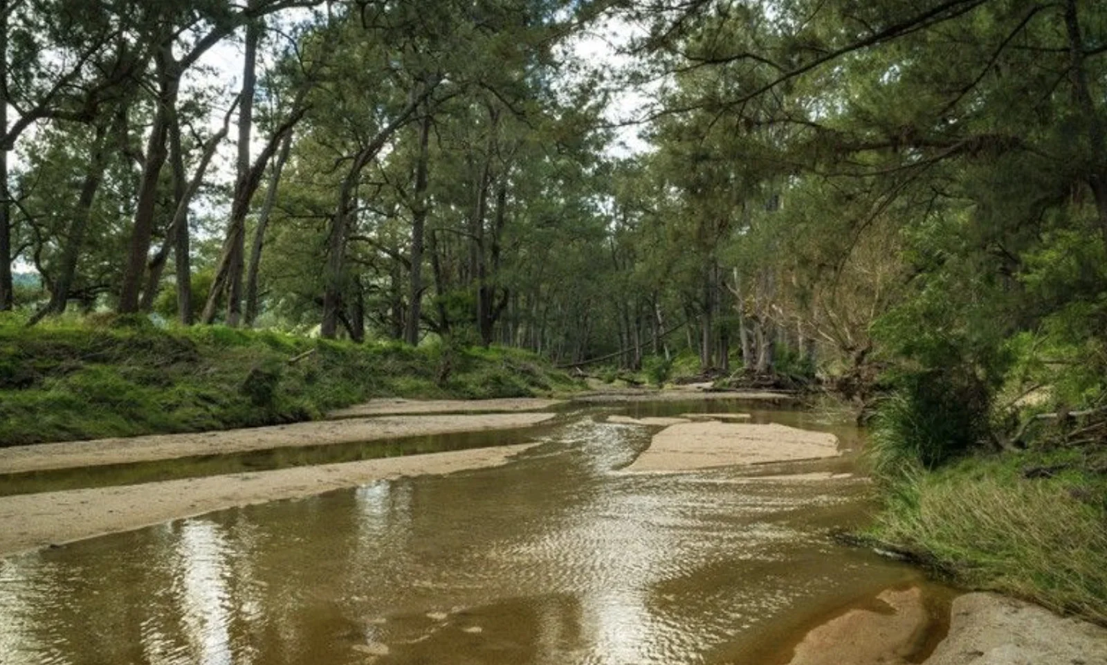 Additional image 15 of 874 Cobargo Bermagui Road, Coolagolite NSW 2550