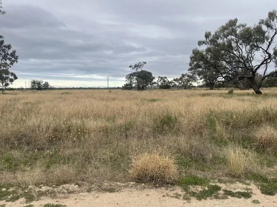 Additional image 3 of 92 Castlereagh Highway, Walgett NSW 2832