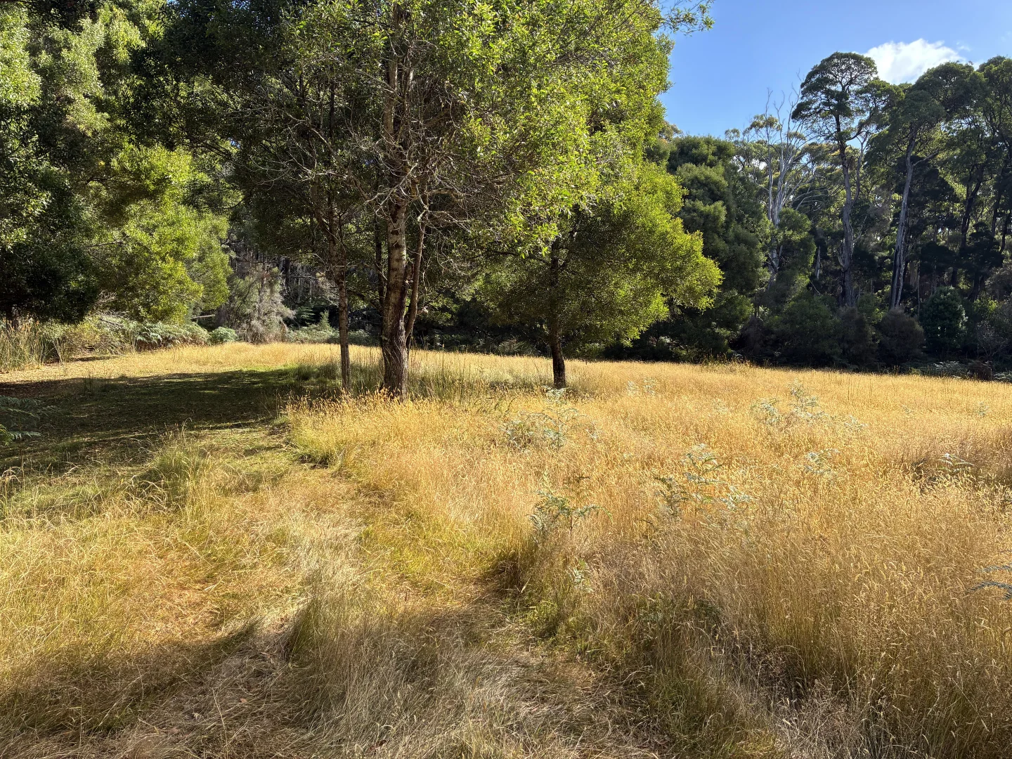 Additional image 3 of 306 Coopers Road, Rocky Cape TAS 7321