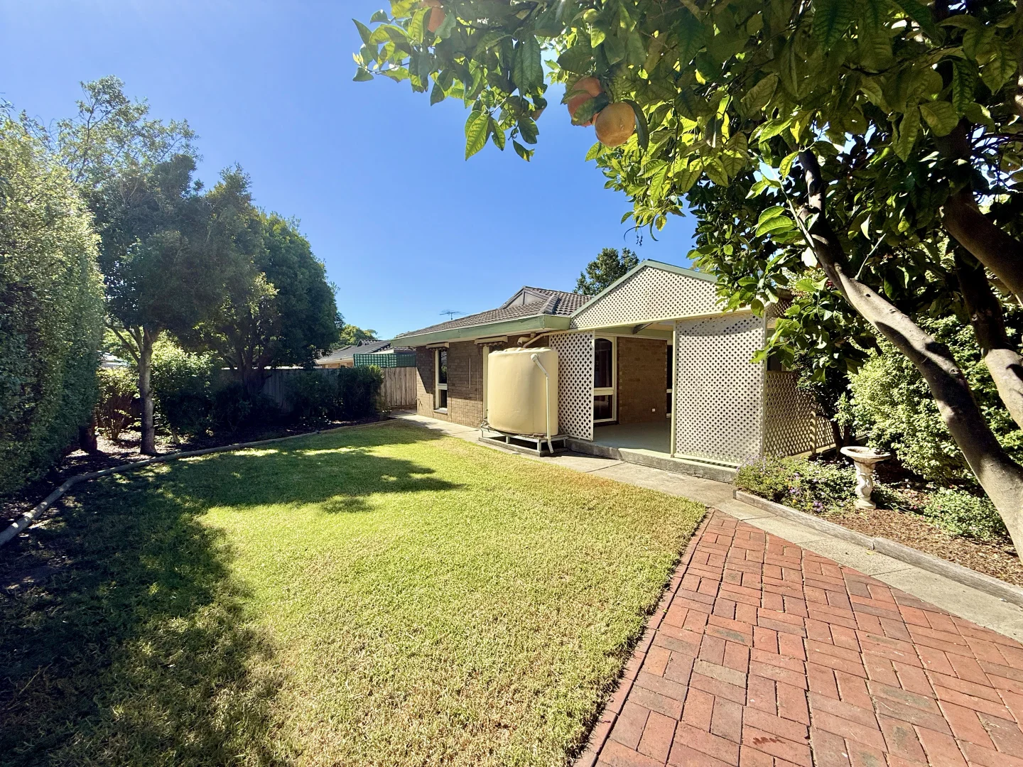 Additional image 19 of 10 Edith Court, Belmont VIC 3216