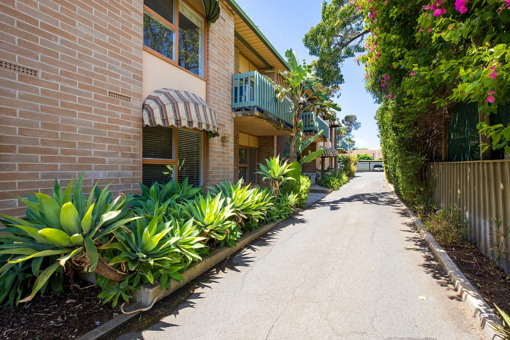 Additional image 12 of 15/16-18 L'estrange St, Glenside SA 5065
