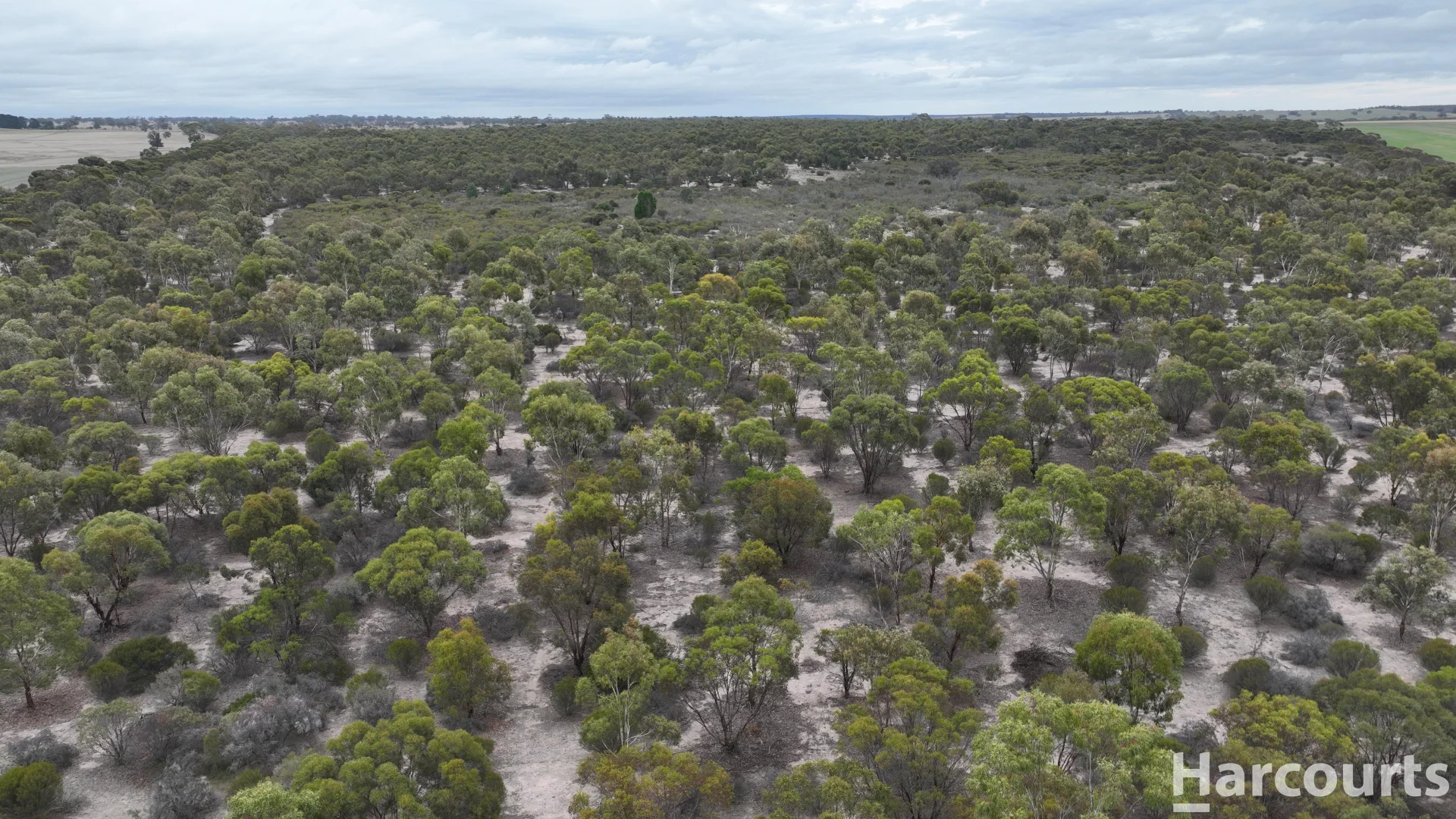 Additional image 19 of lot 2 Mitre Road, Nurcoung VIC 3401