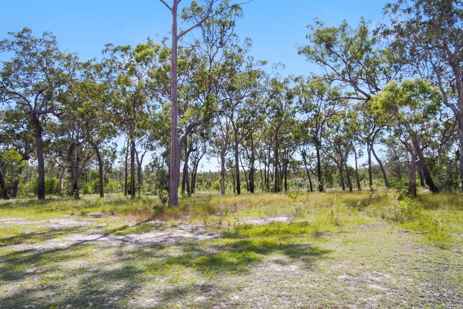 Additional image 26 of 545 Pacific Drive, Deepwater QLD 4674